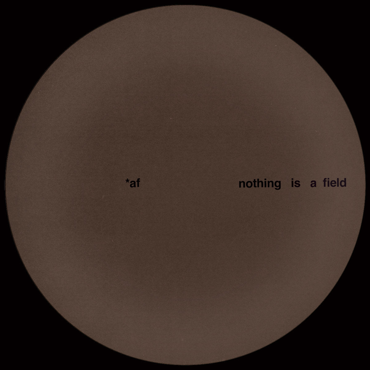 Adam Feingold Nothing Is A Field