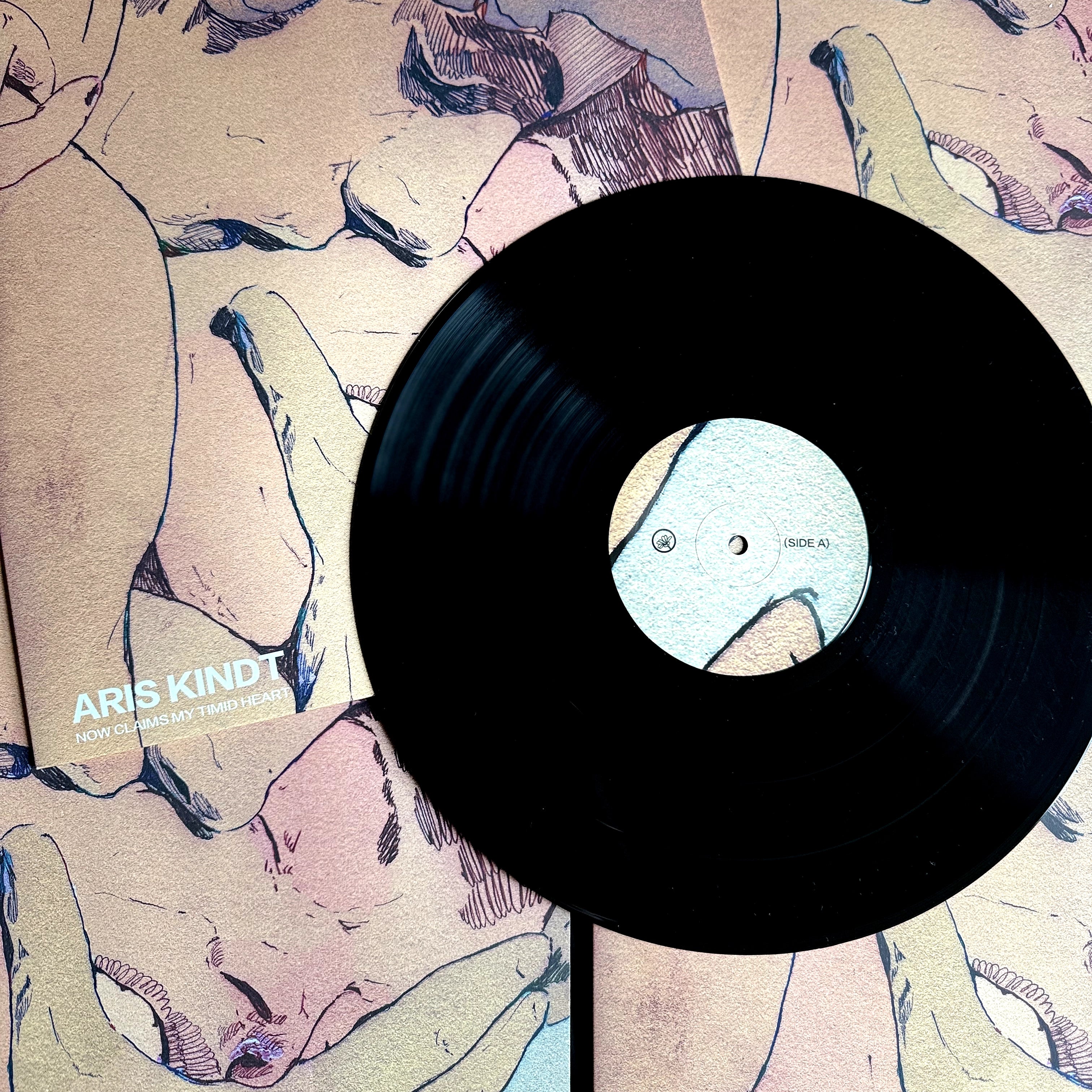 Aris Kindt Now Claims My Timid Heart Vinyl