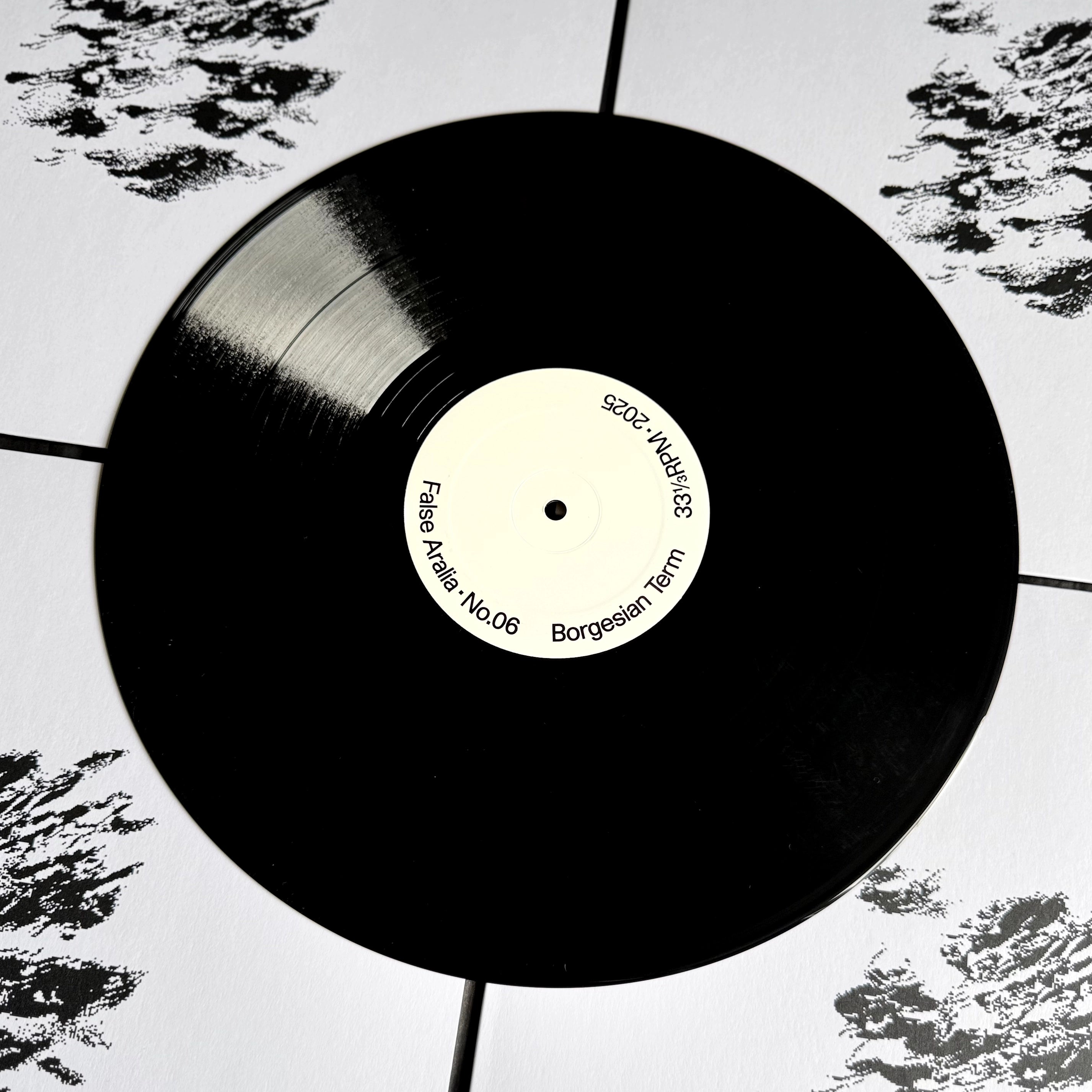 Borgesian Term - False 06