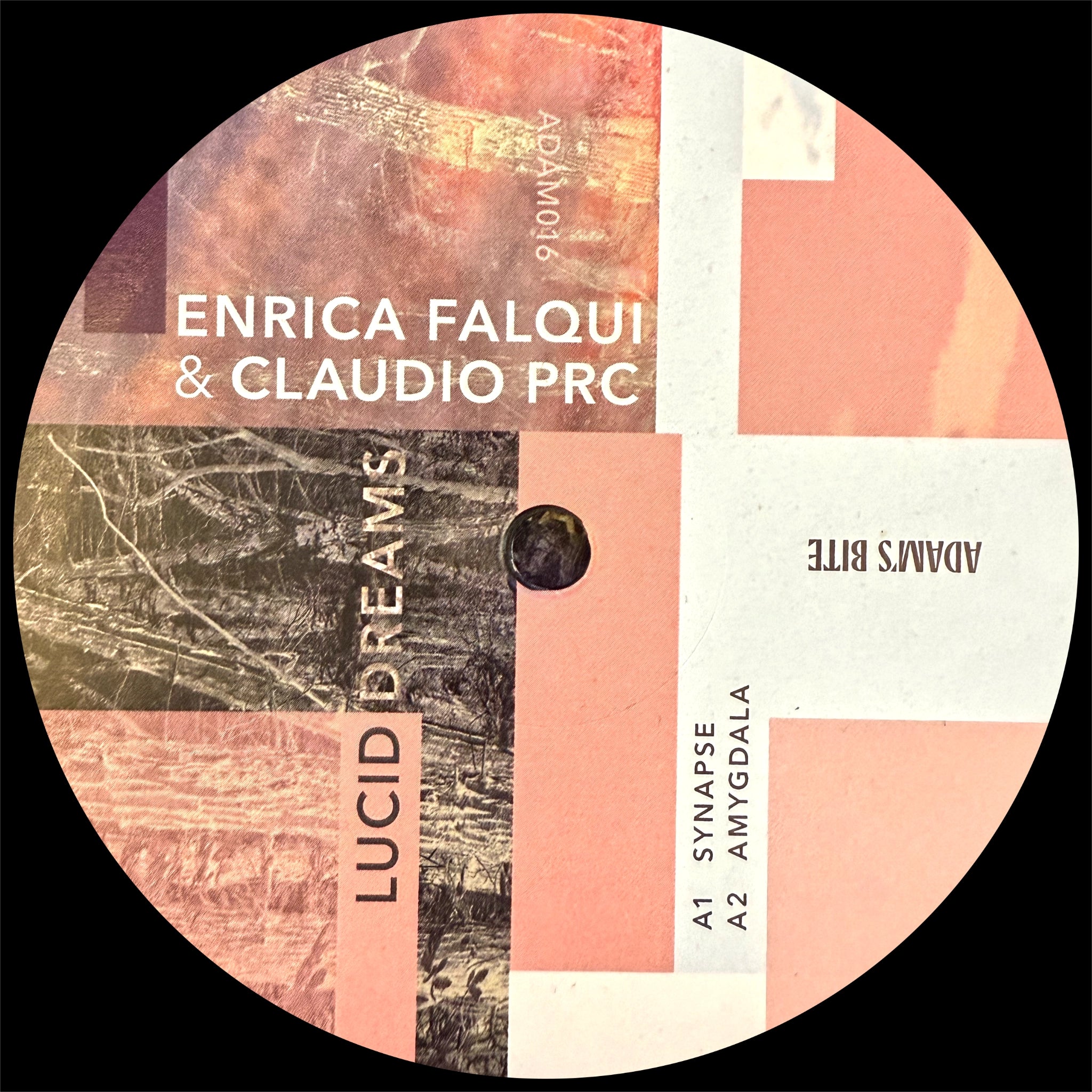 Claudio PRC & Enrica Falqui Lucid Dreams