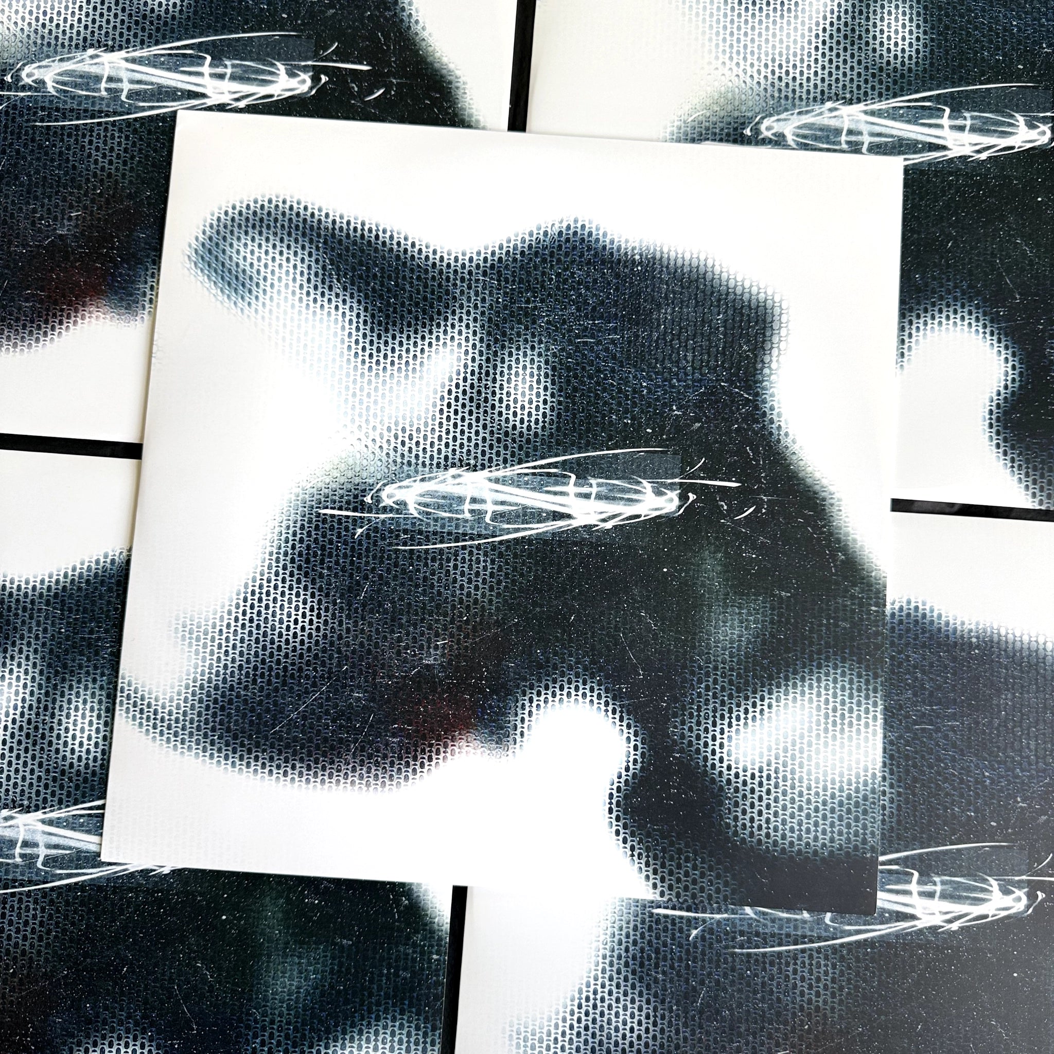 Conna Haraway Spatial Fix