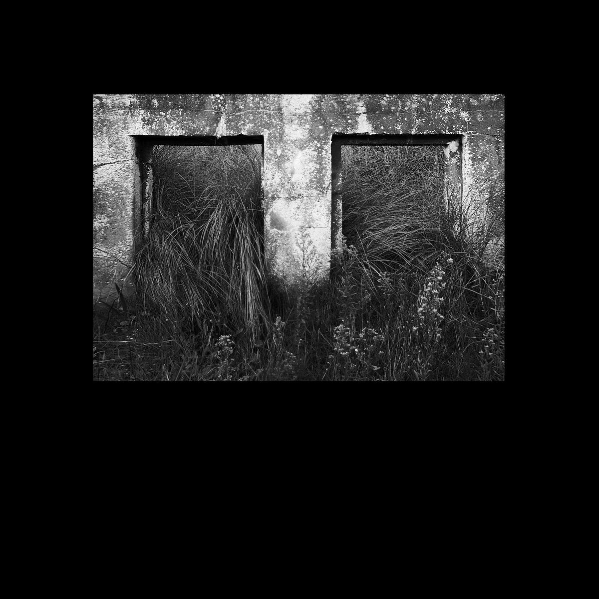 Cristi Cons & DeWalta – ∞ (Infinity)
