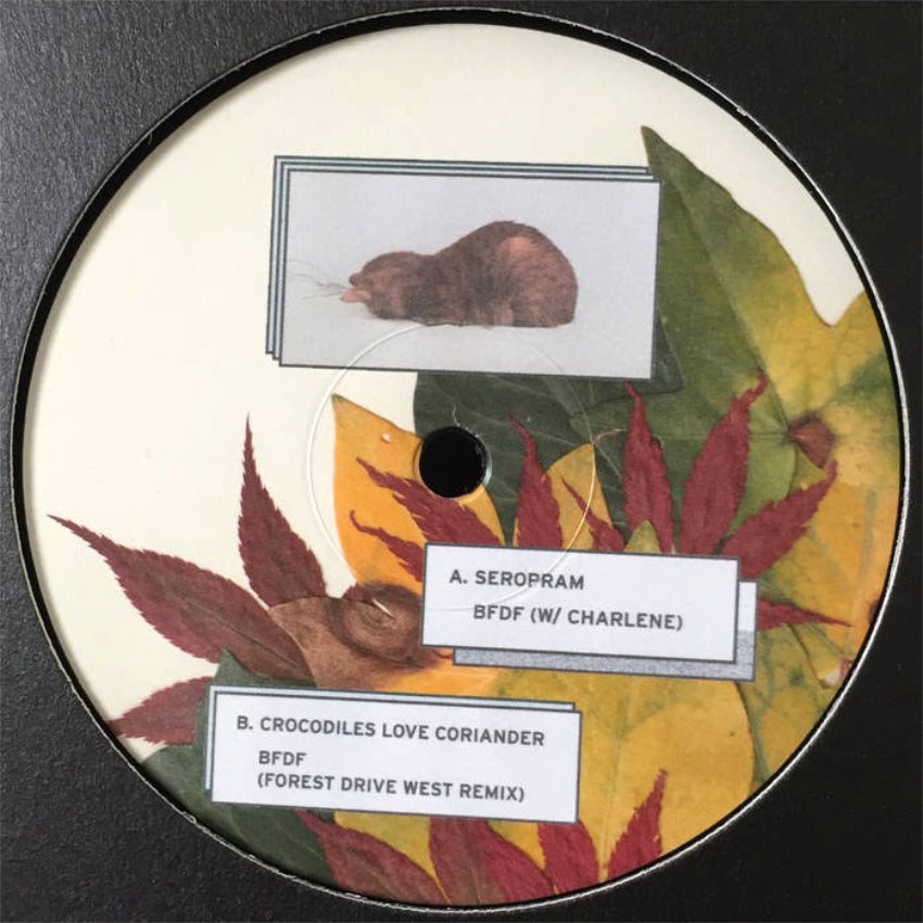 Elise - Leaves From Yoyogi (Forest Drive West Remix)