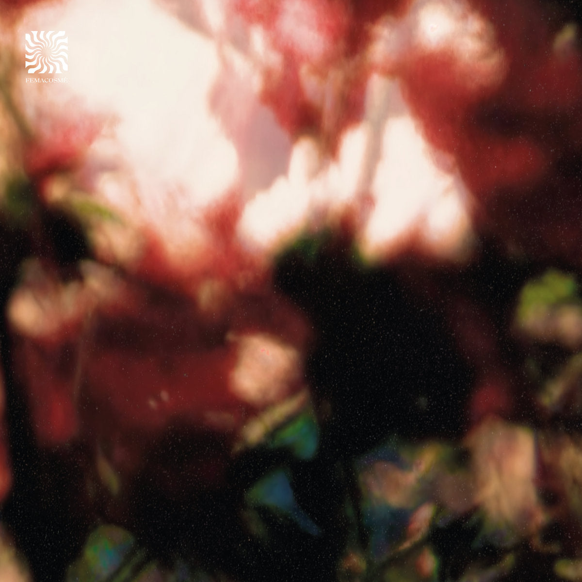 Euphonic Alliances Ltd. - Peace Is It In You?