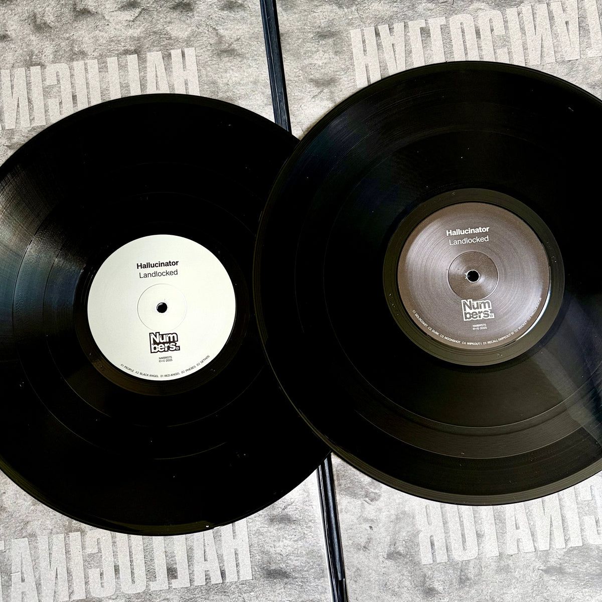 Hallucinator Landlocked Vinyl