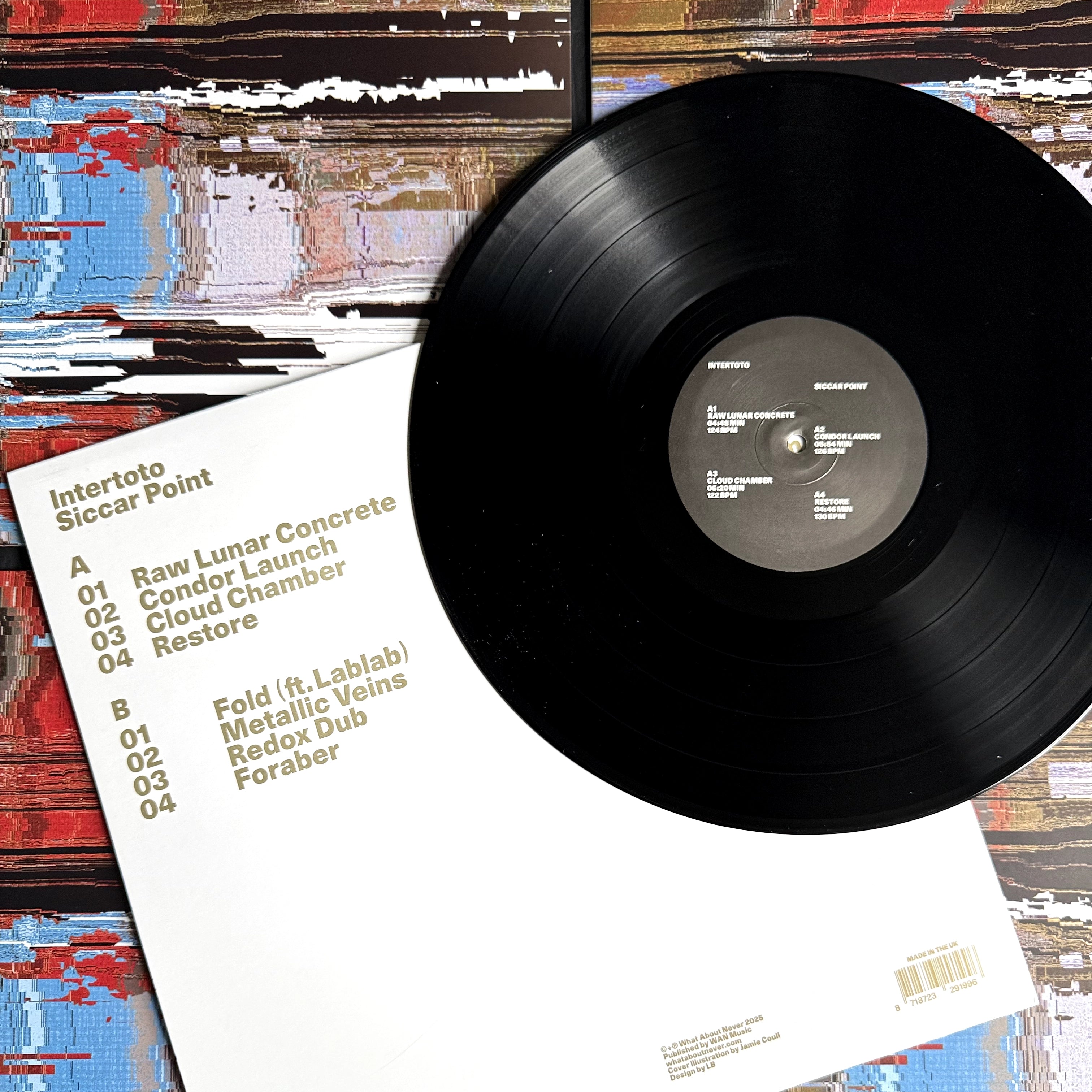 Intertoto Siccar Point Vinyl What About Never