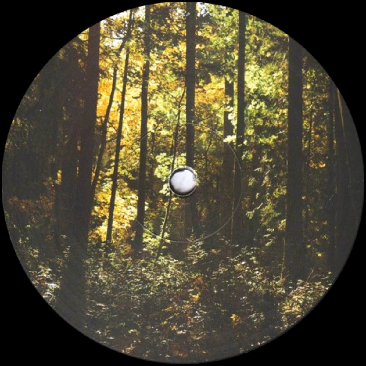 Jared Wilson – New Era