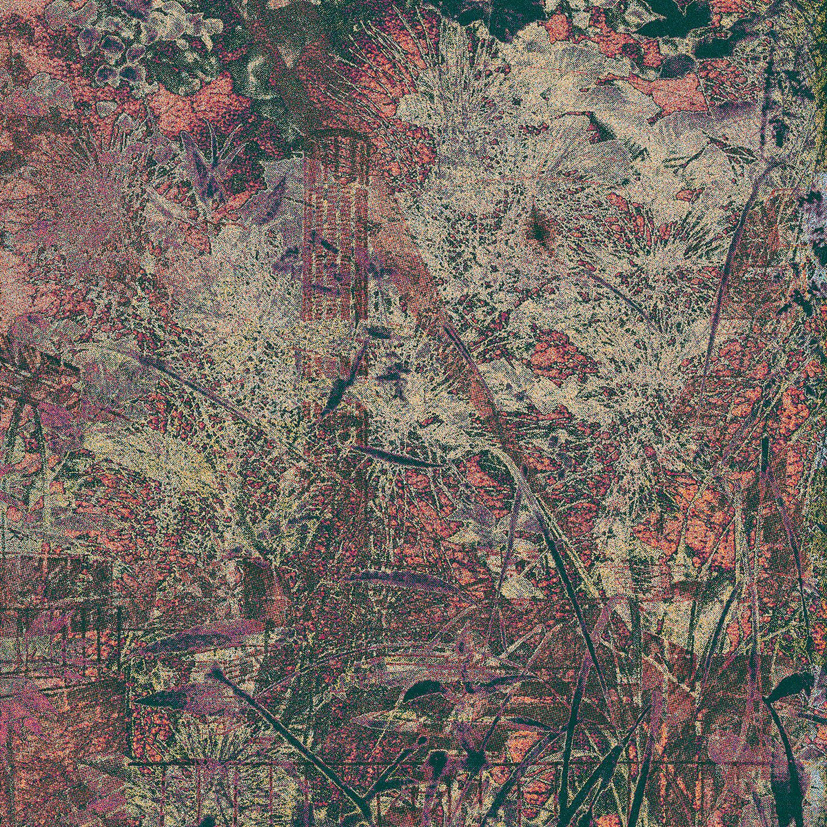 Nummer – Second Sight