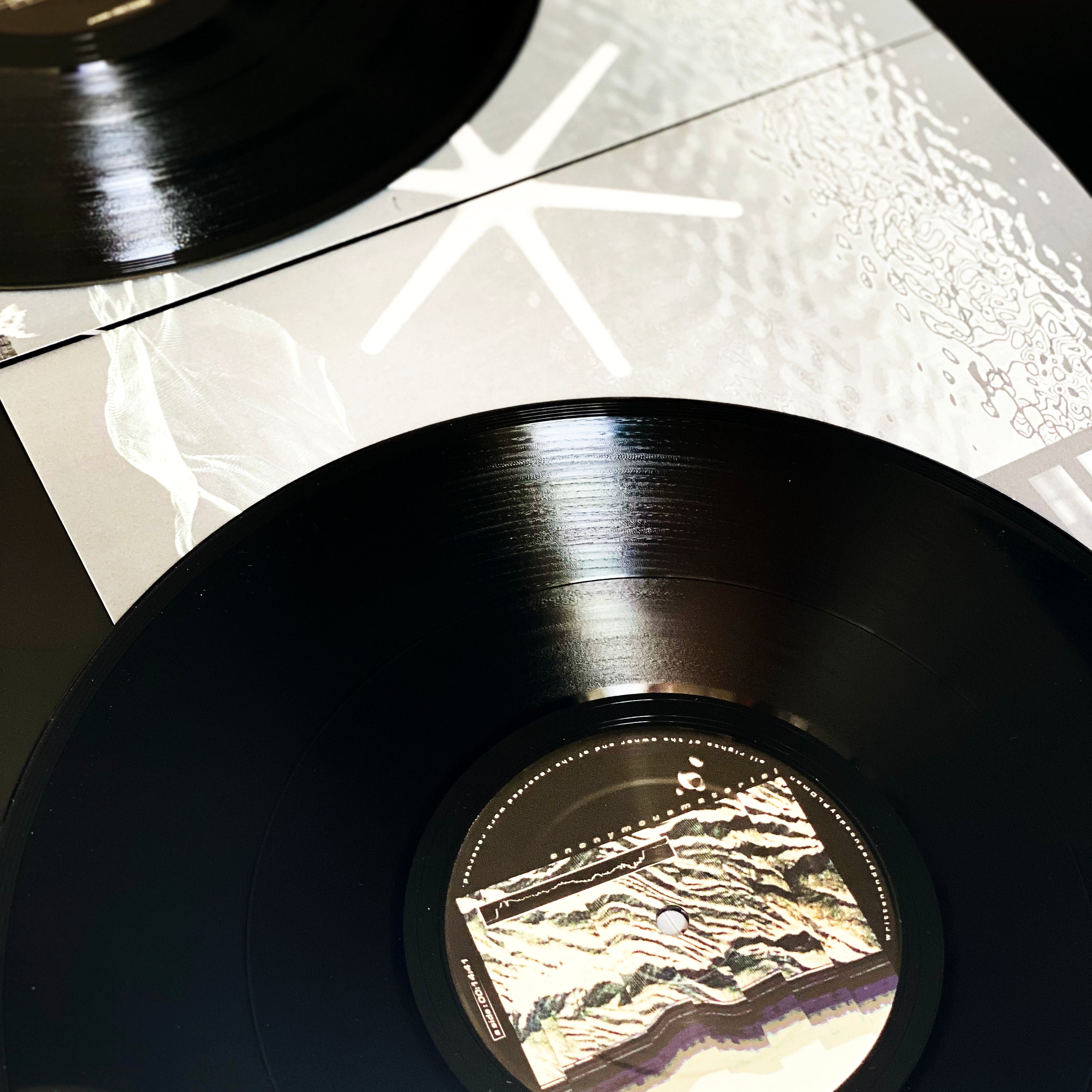 PLO Man – Anonymousmaterial