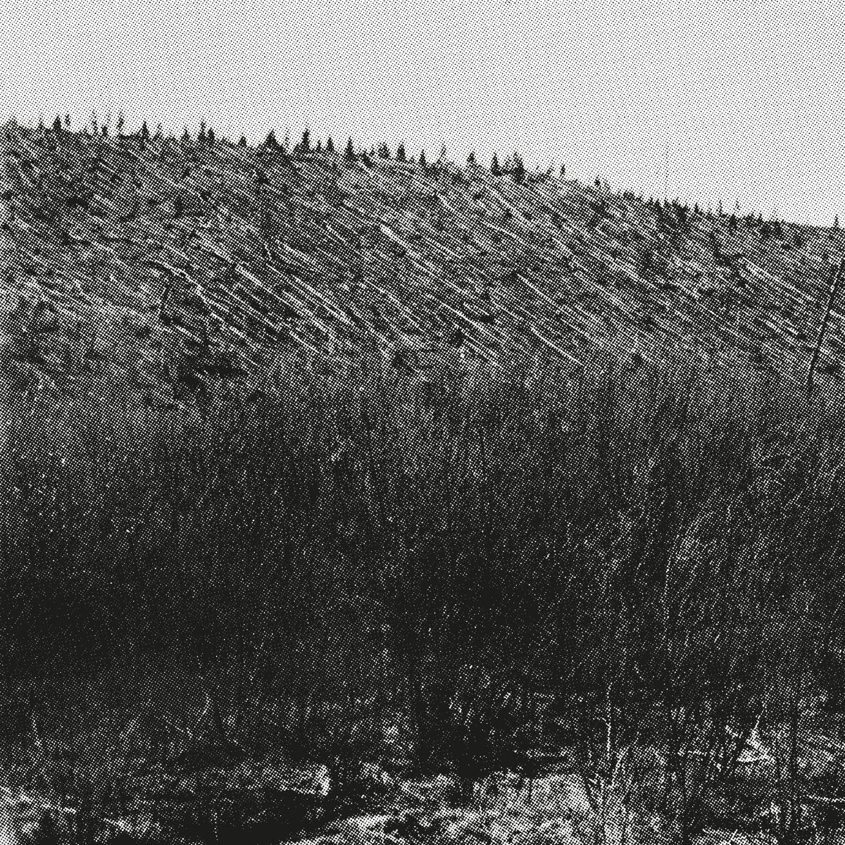 Pina – Lärm