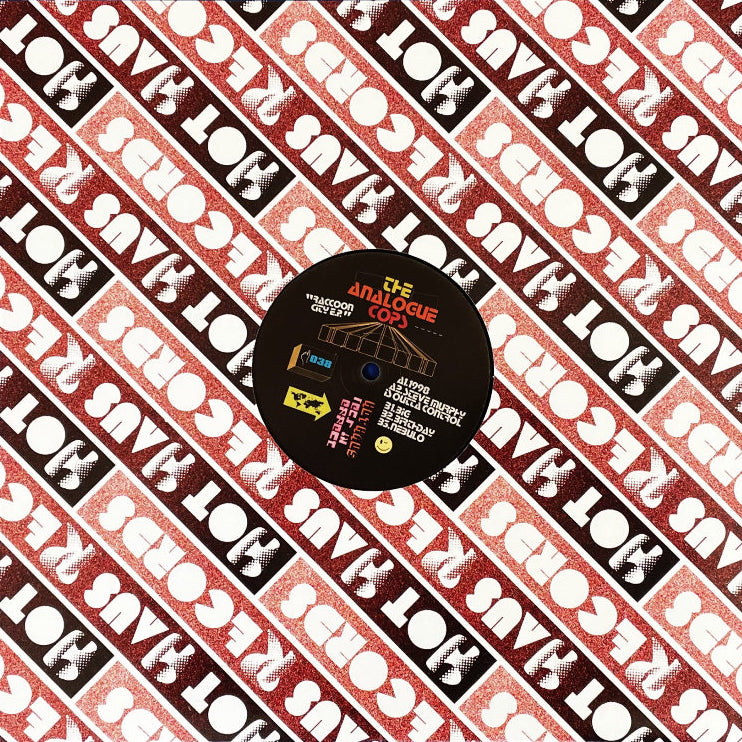 The Analogue Cops – Racoon City E.P.