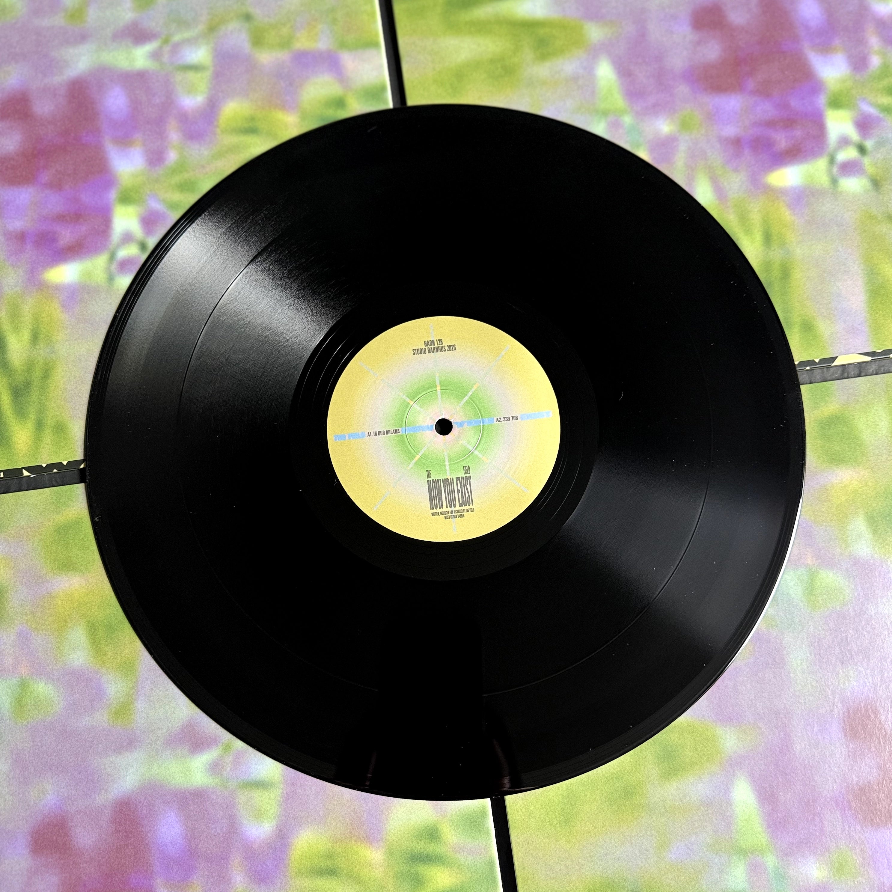 The Field Now You Exist Vinyl