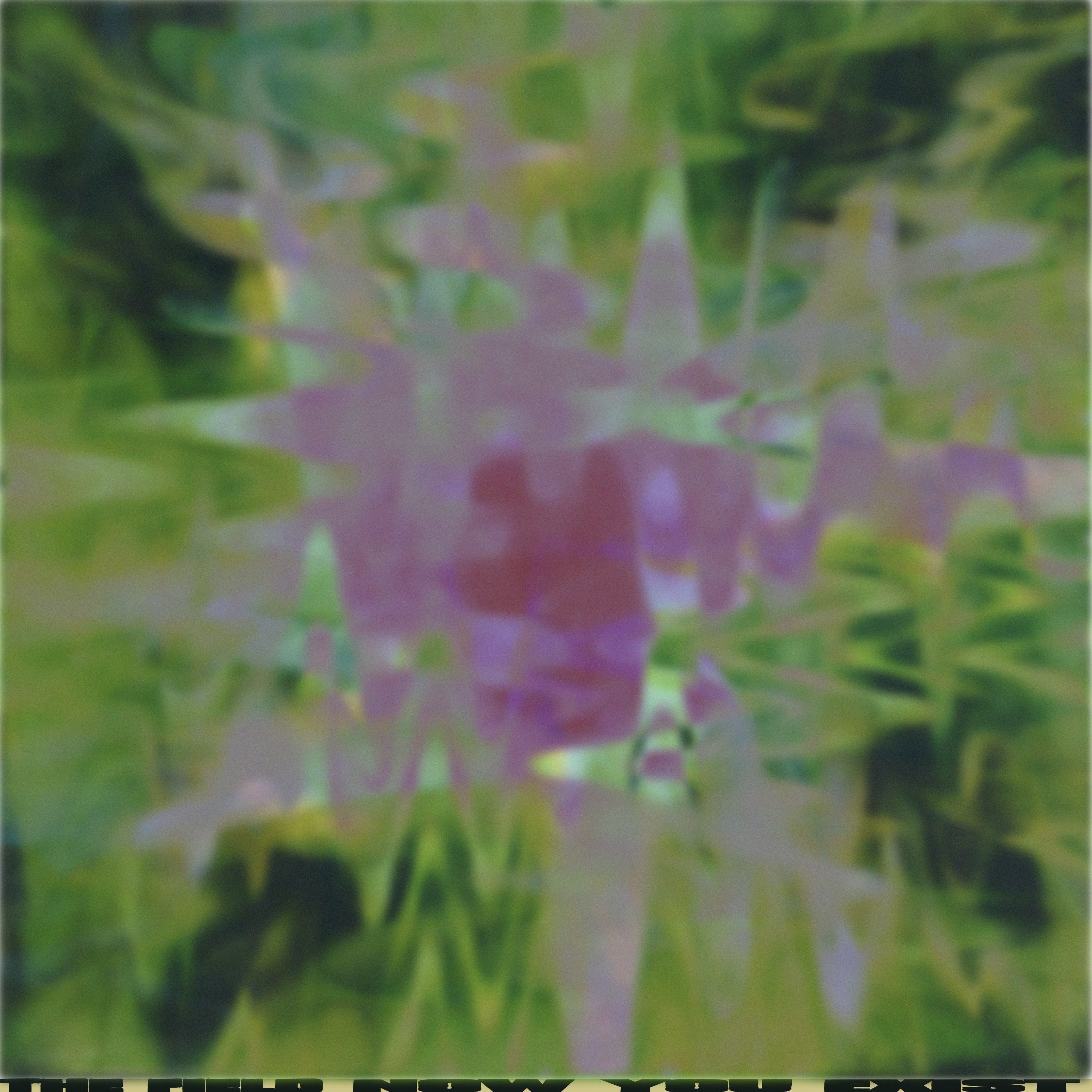 The Field - Now You Exist
