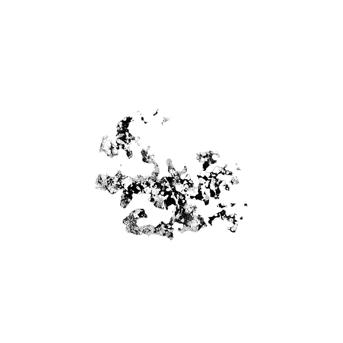 Șerb – Transient Recs 2