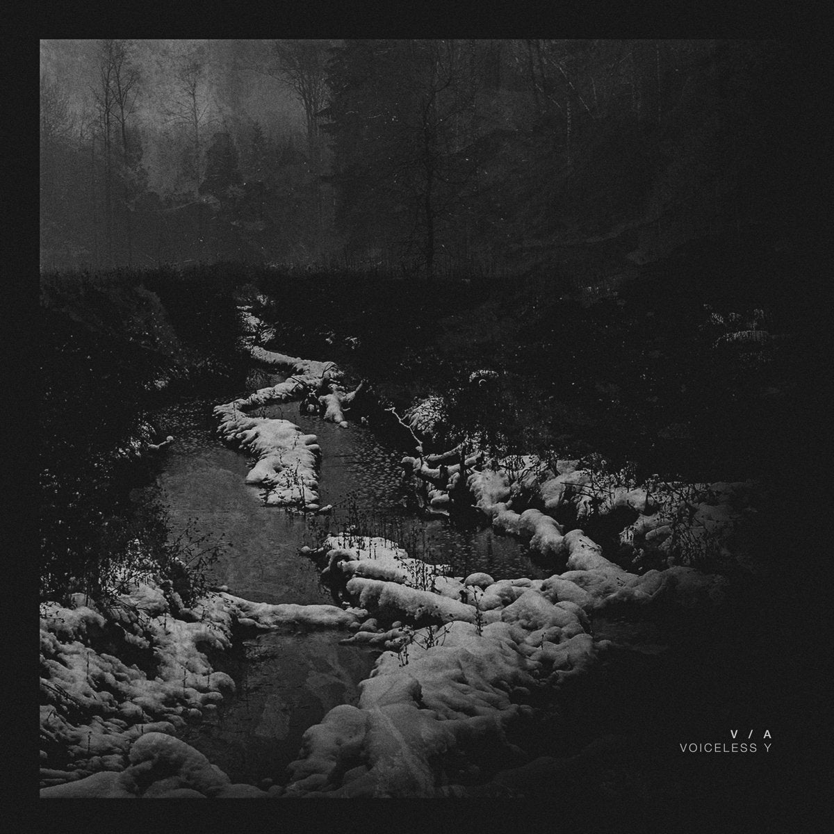 Various Artists – Voiceless Y (Daed, Rolando Simmons, Techdiff, Cignol, Gareth Clarke)