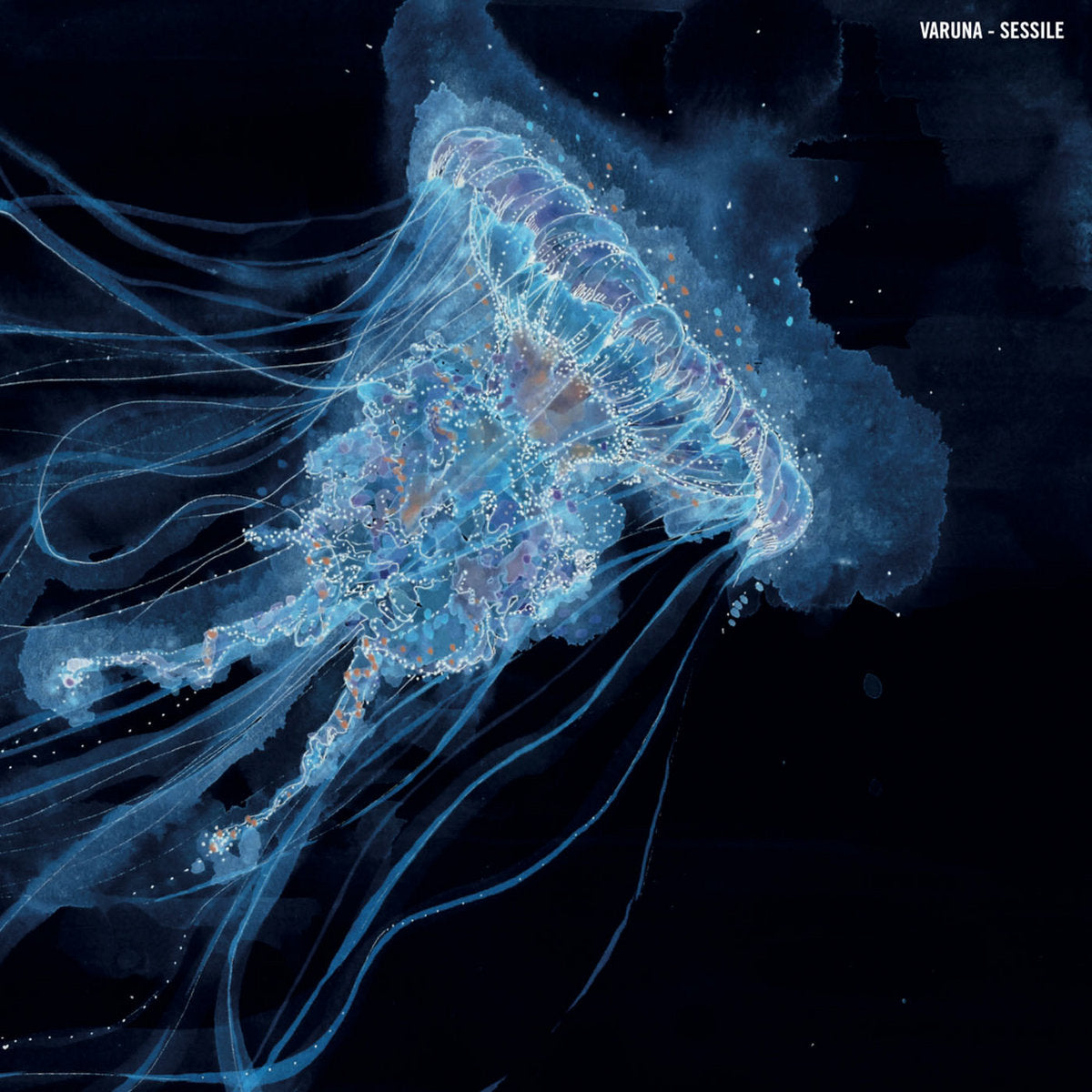 Varuna – Sessile