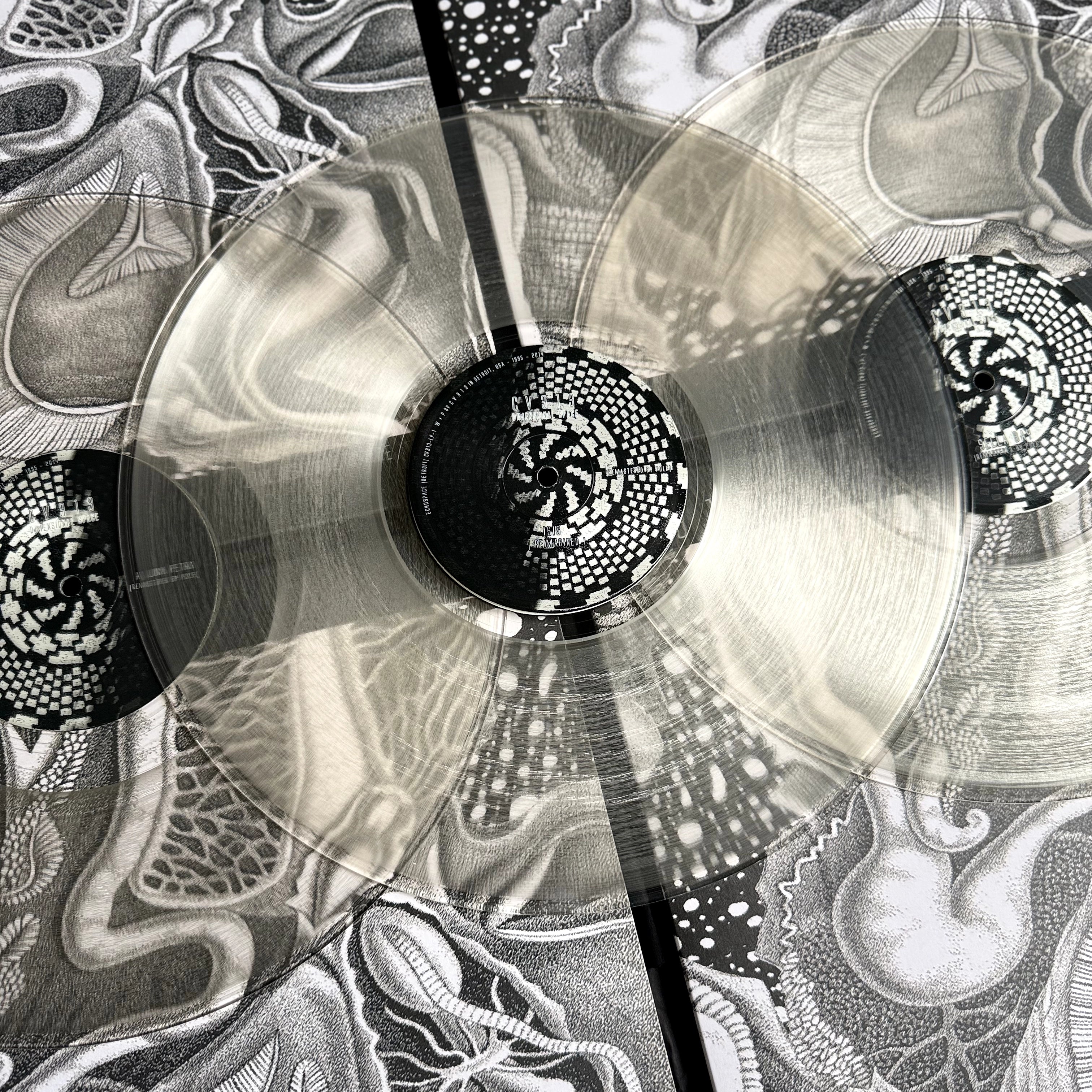 cv313 Dimensional Space Vinyl