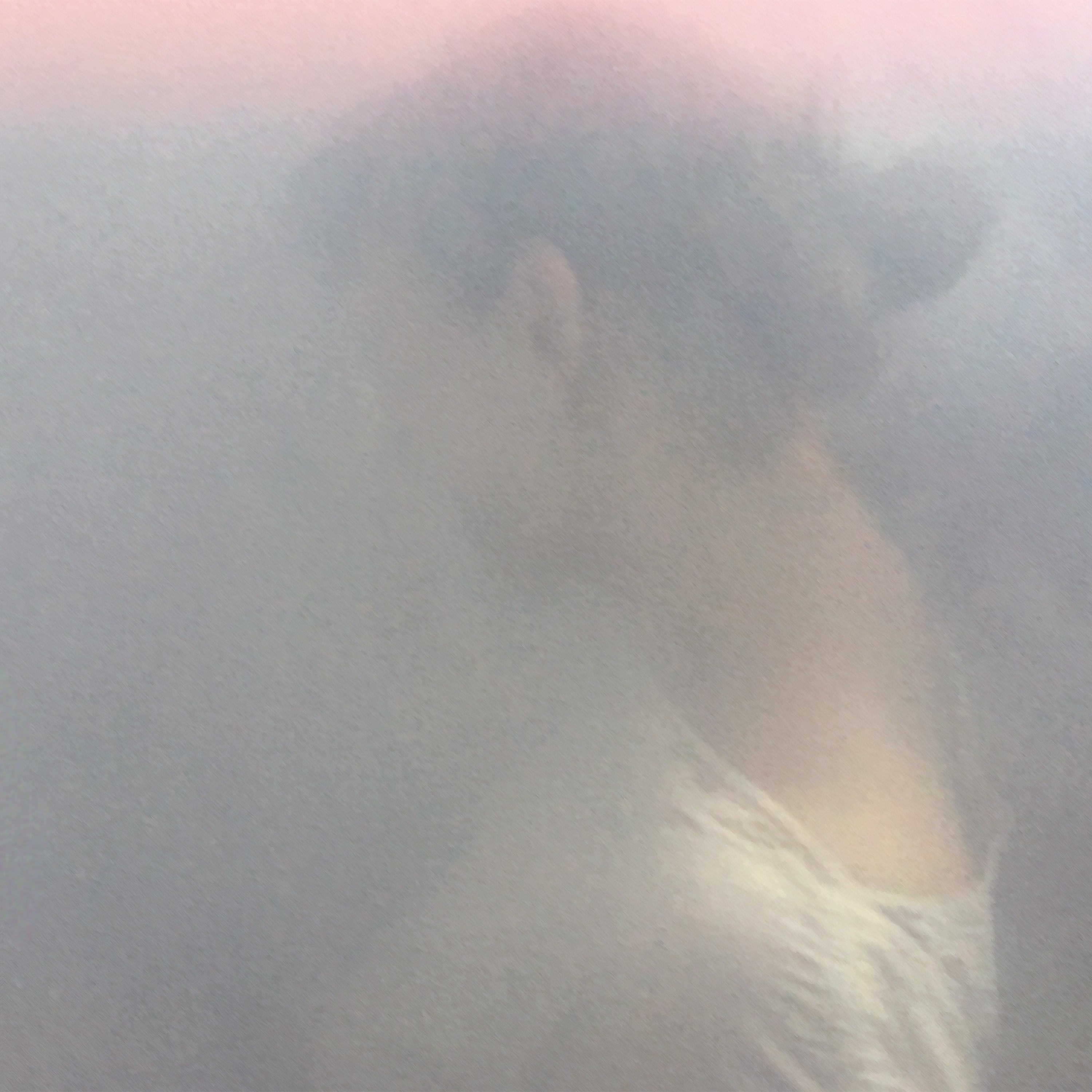 Favourite Artists - MY DEAR