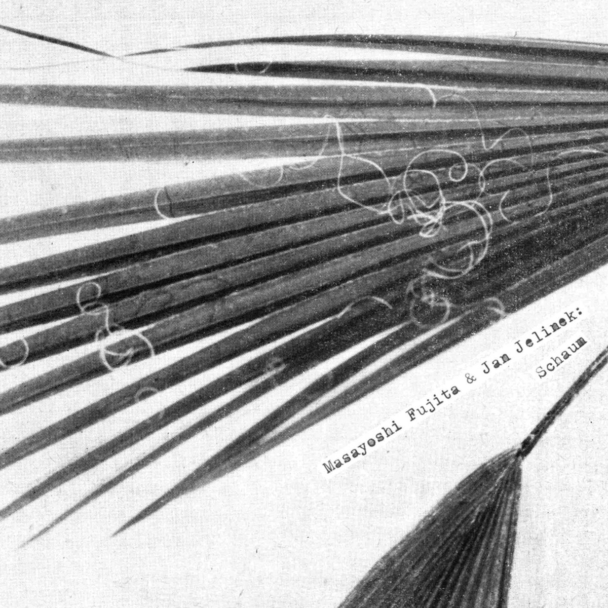 Masayoshi Fujita & Jan Jelinek – Schaum - Inverted Audio Record Store
