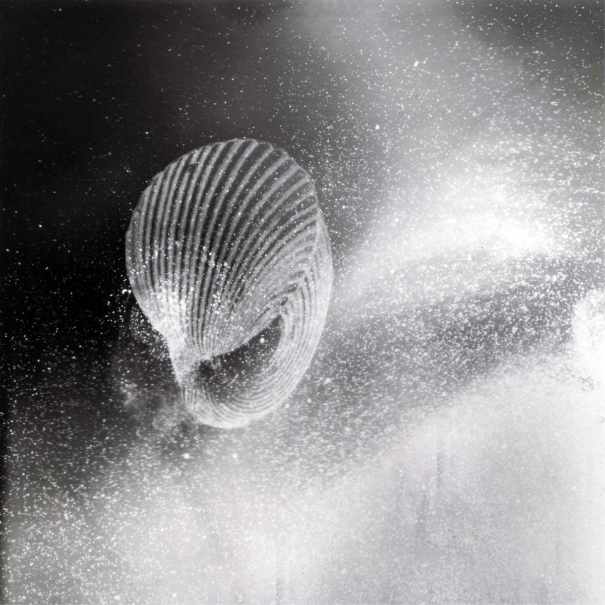 Raccoglimento Parziale – Homoheterogeneity - Inverted Audio Record Store