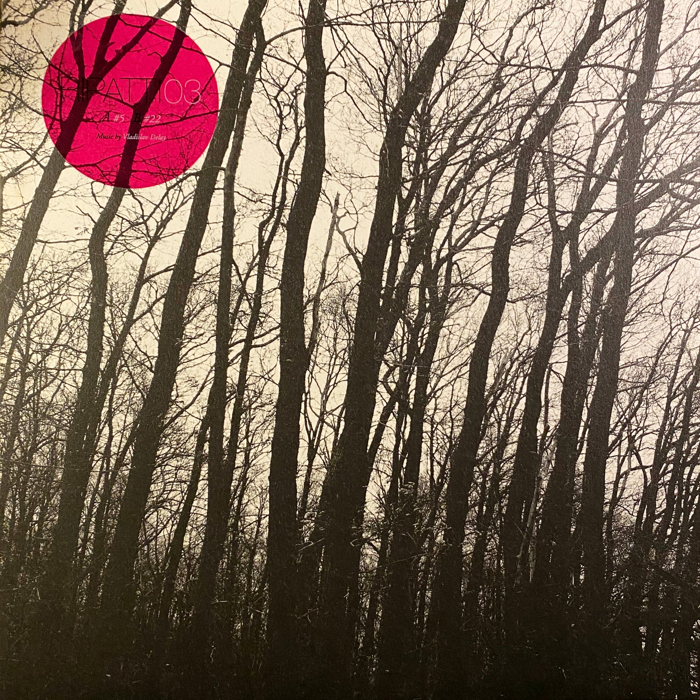 Vladislav Delay – Ripatti 03 - Inverted Audio Record Store