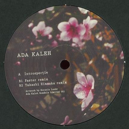 Ada Kaleh – Introspecție