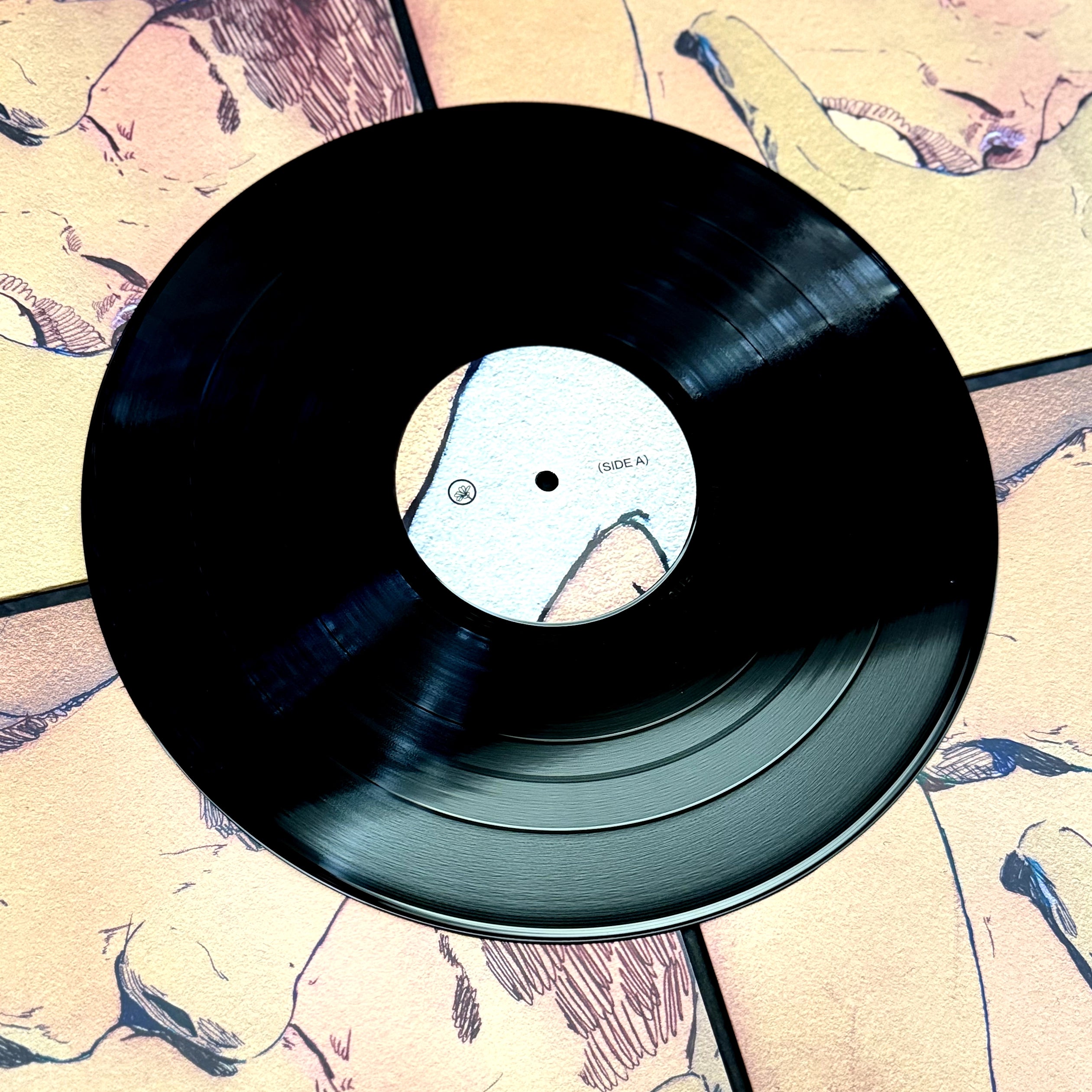 Aris Kindt - Now Claims My Timid Heart