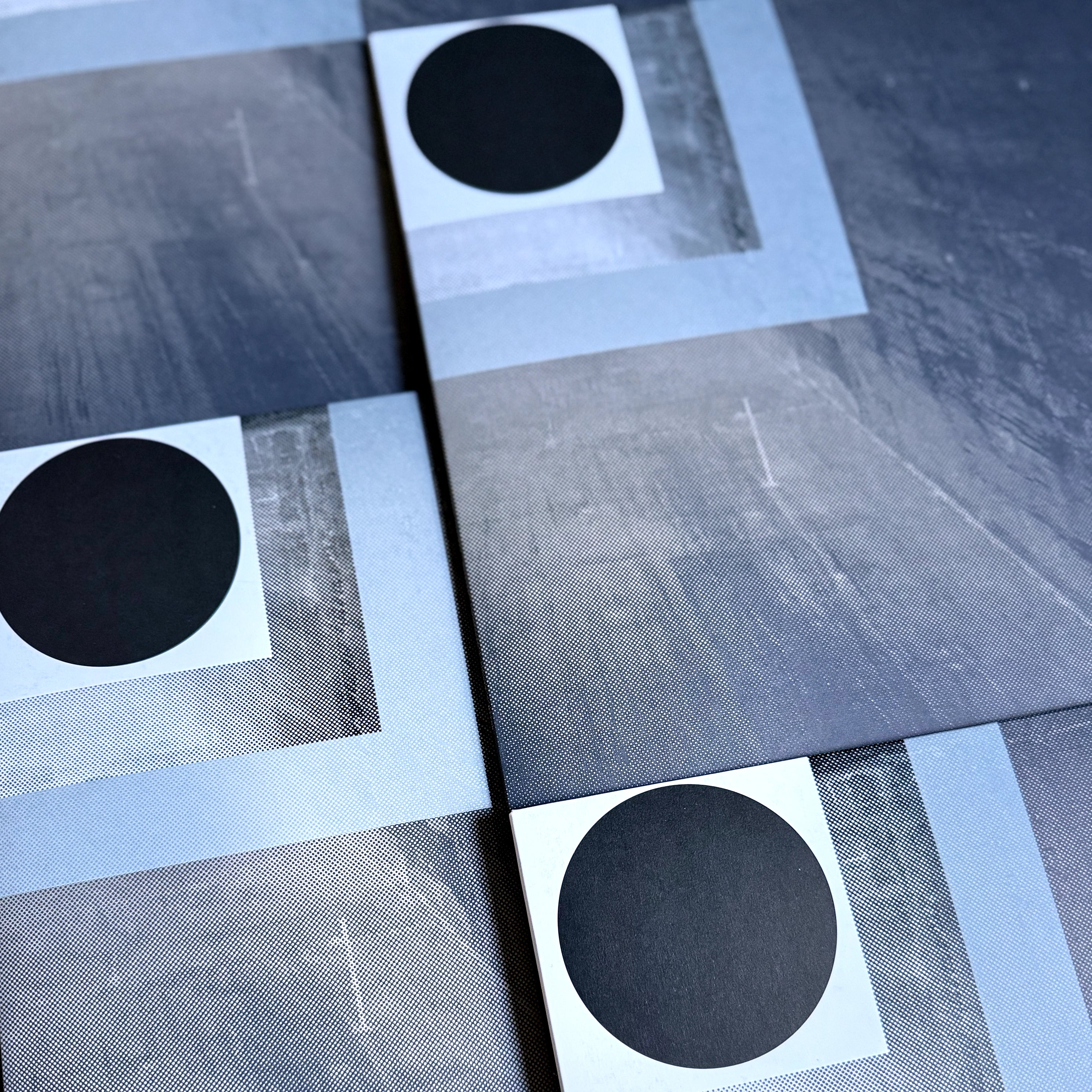 Conna Haraway - Shifted