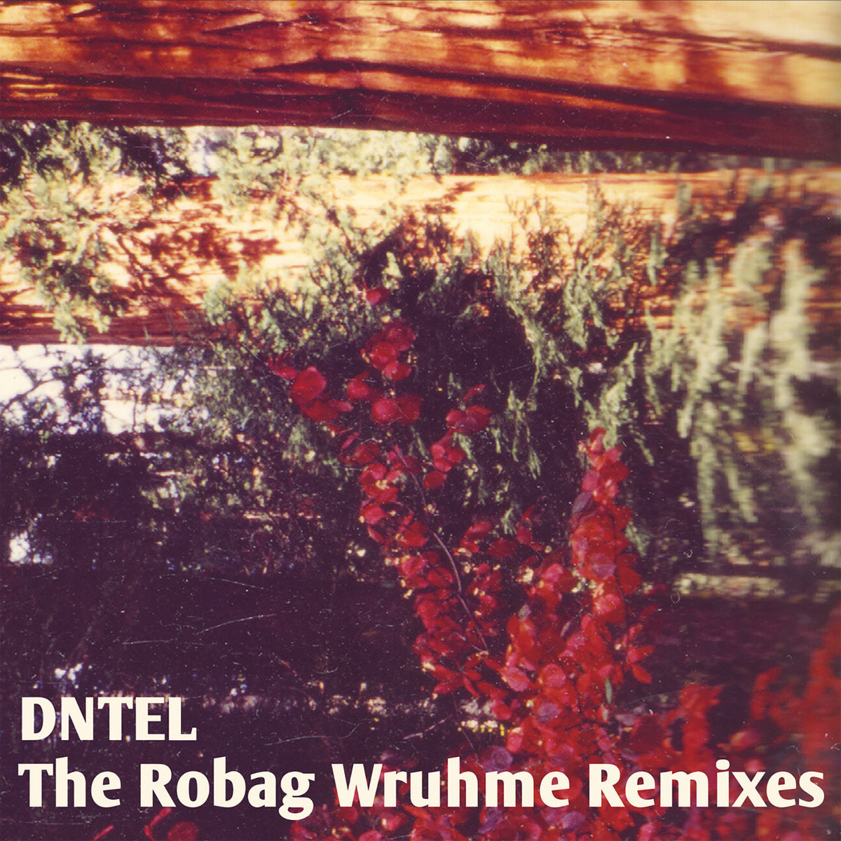 Dntel - The Robag Wruhme Remixes