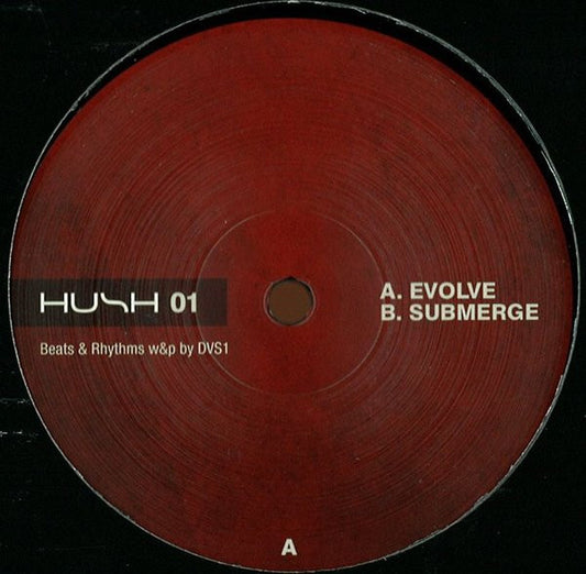 DVS1 – Evolve / Submerge