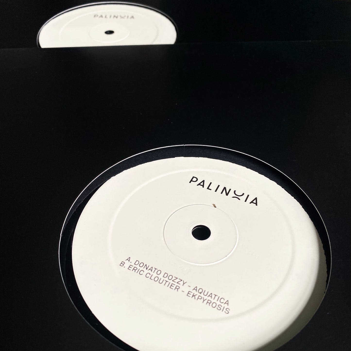 Donato Dozzy / Eric Cloutier – Palinoia LTD 001