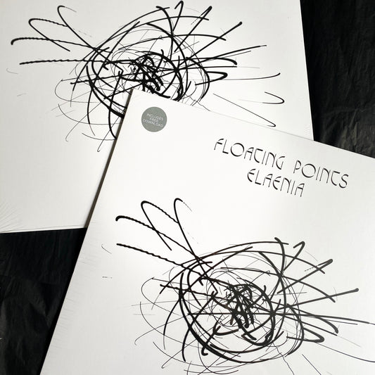 Floating Points – Elaenia