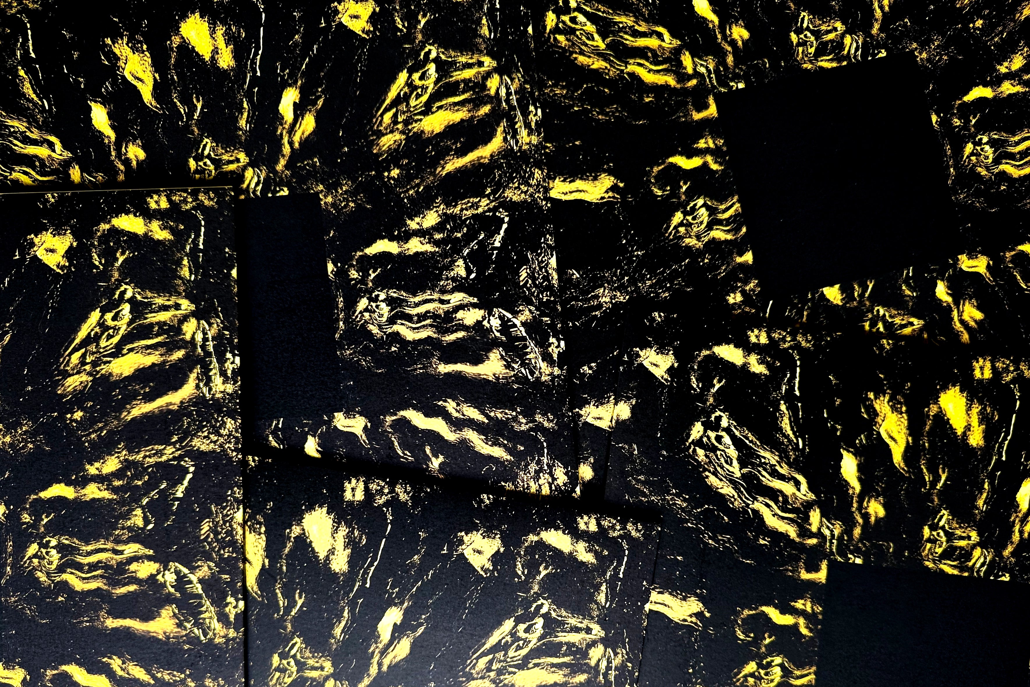 Hoavi - Architectonics