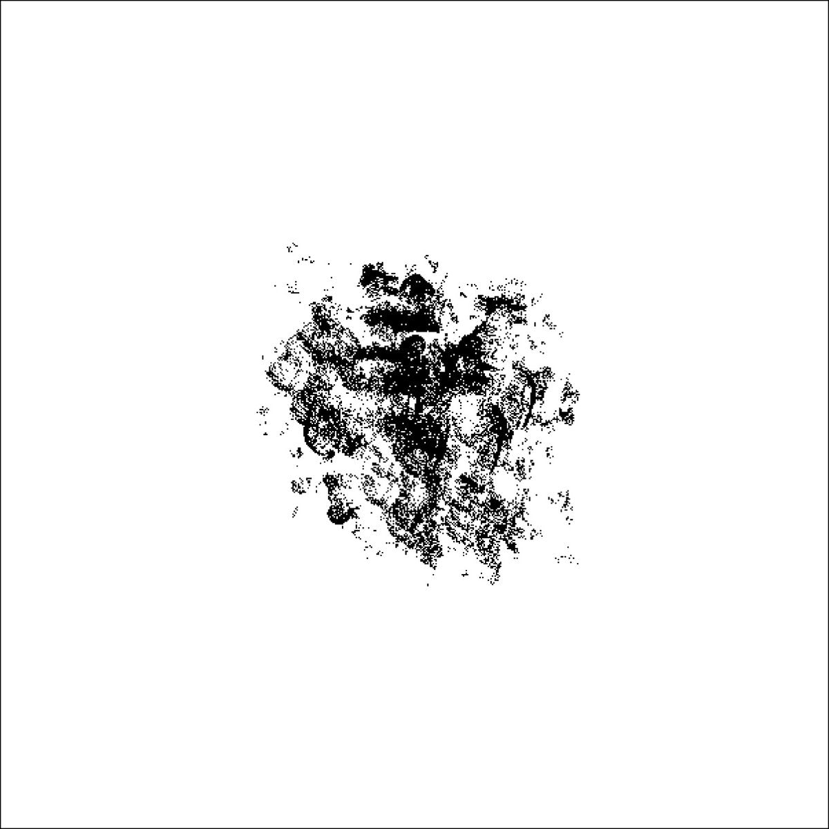 Iri.gram False 04