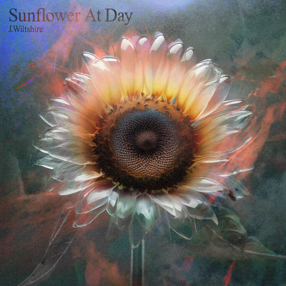 J. Wiltshire – Sunflower At Day