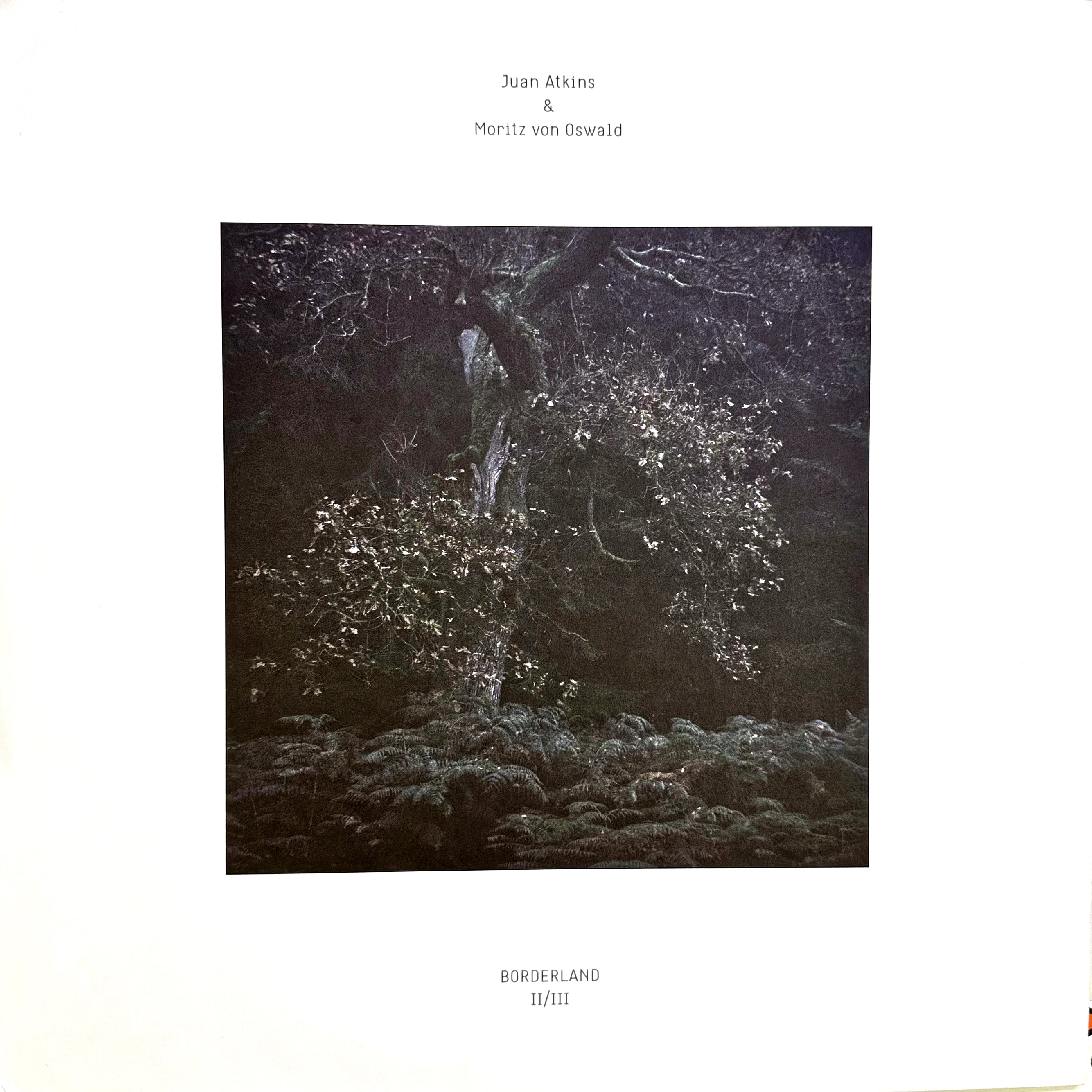 Juan Atkins & Moritz Von Oswald – Borderland II/III