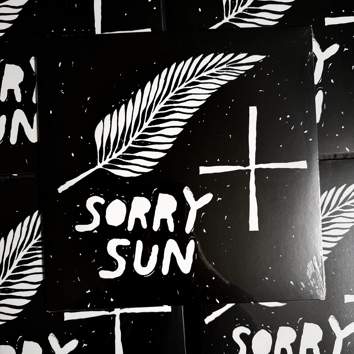 Lawrence Sorry Sun