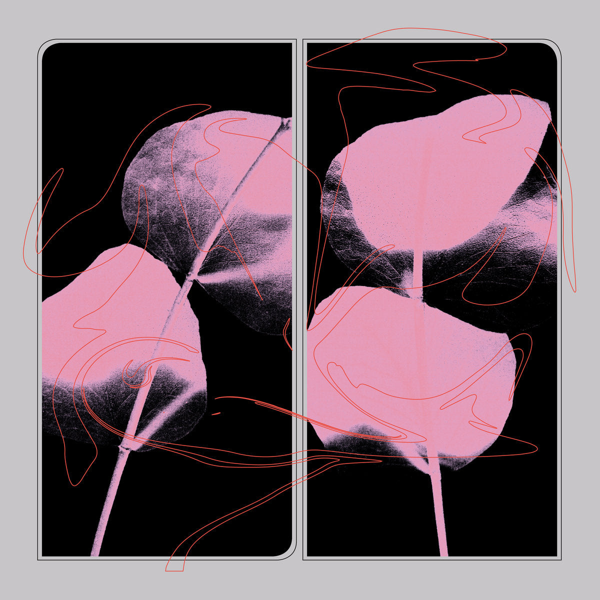 Lifted – 2