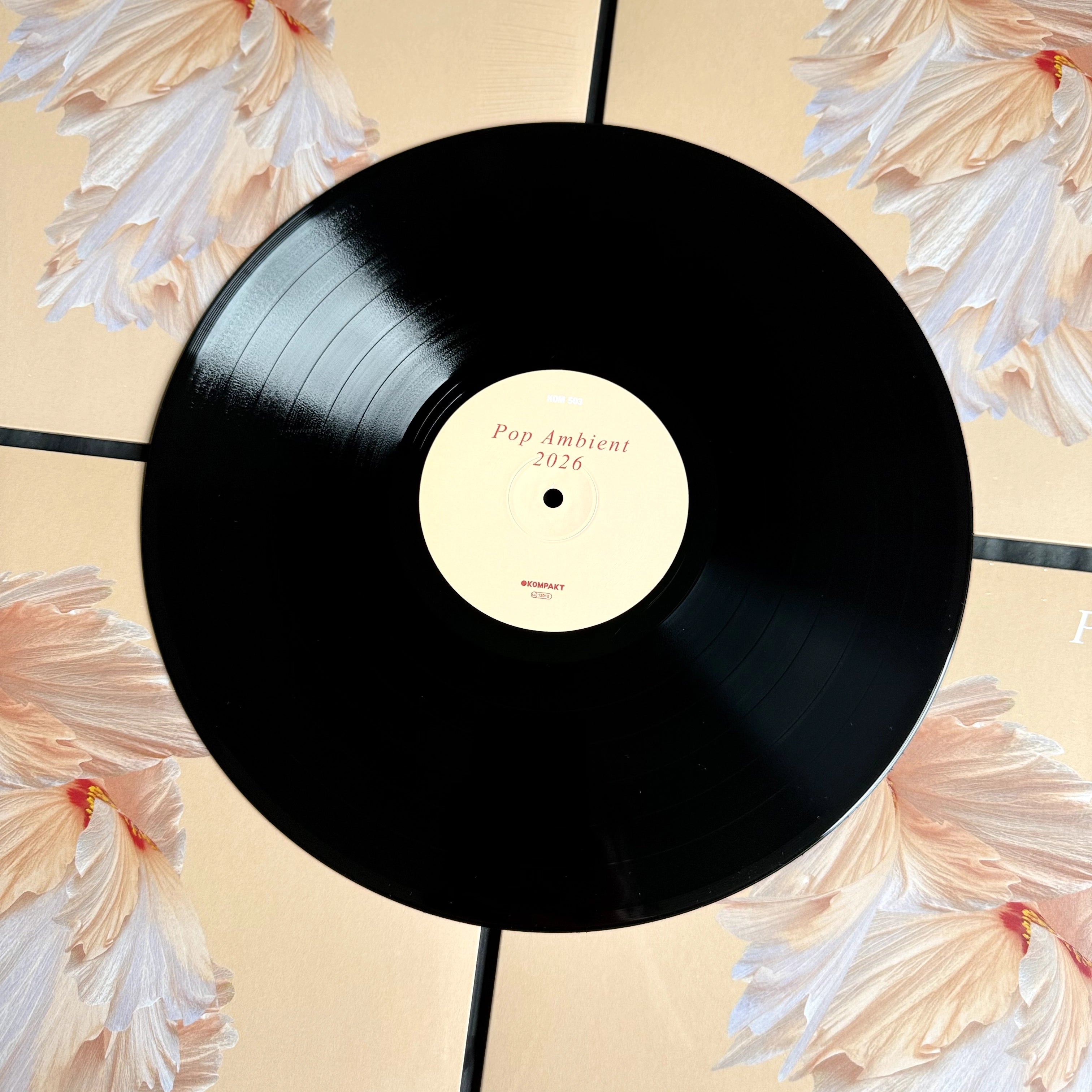 Pop Ambient 2026 Vinyl