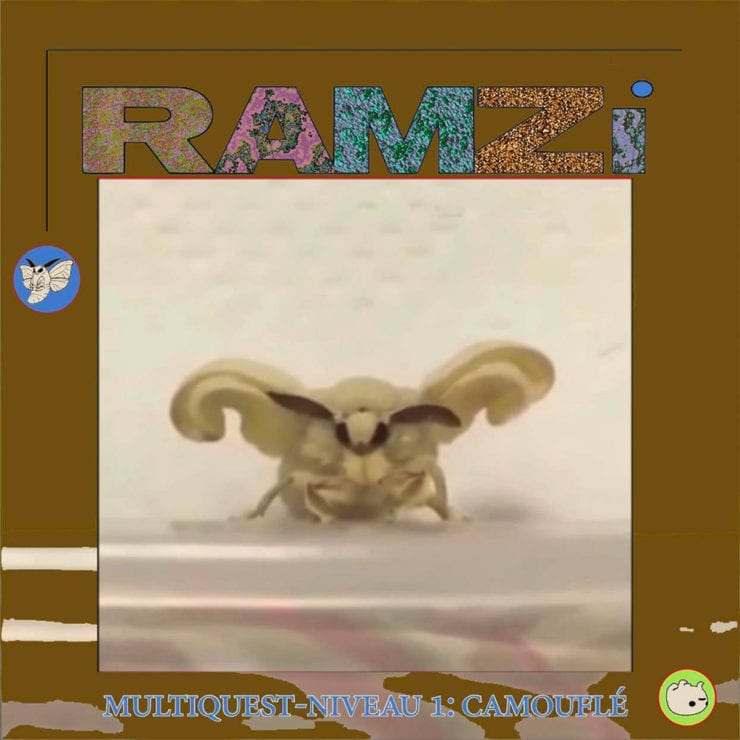 RAMZi - Multiquest Niveau 1: Camouflé