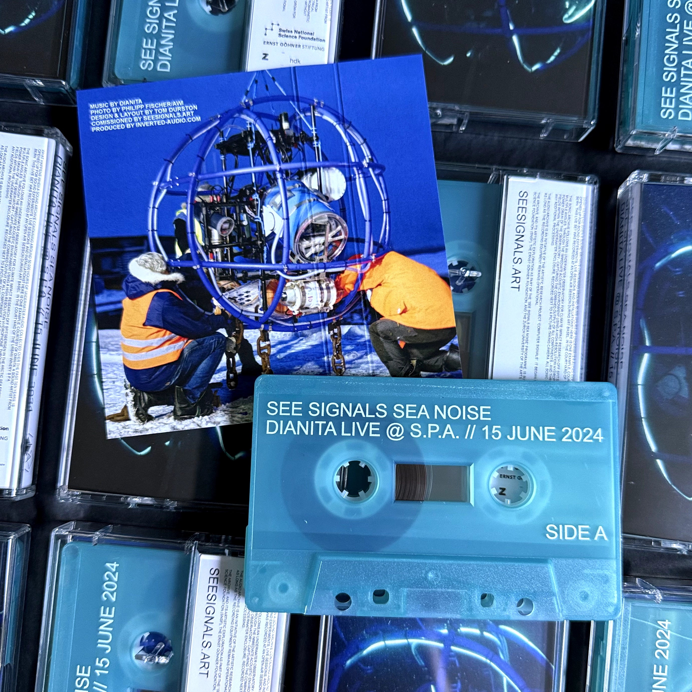 See Signals Sea Noise - Dianita Live @S.P.A. // 15 June 2024
