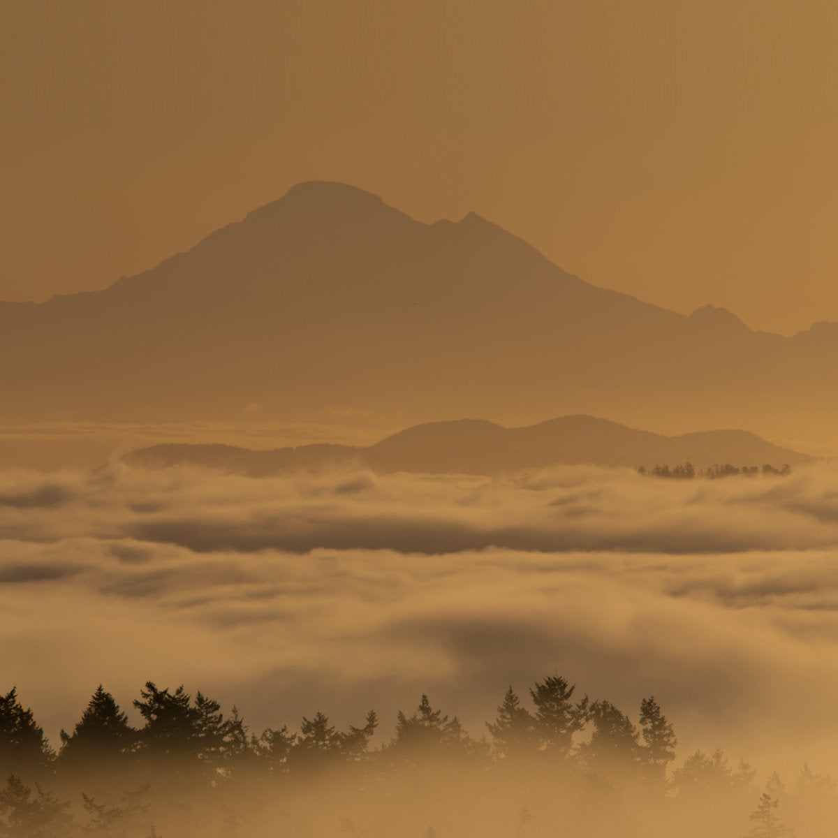 Segue – Over The Mountains