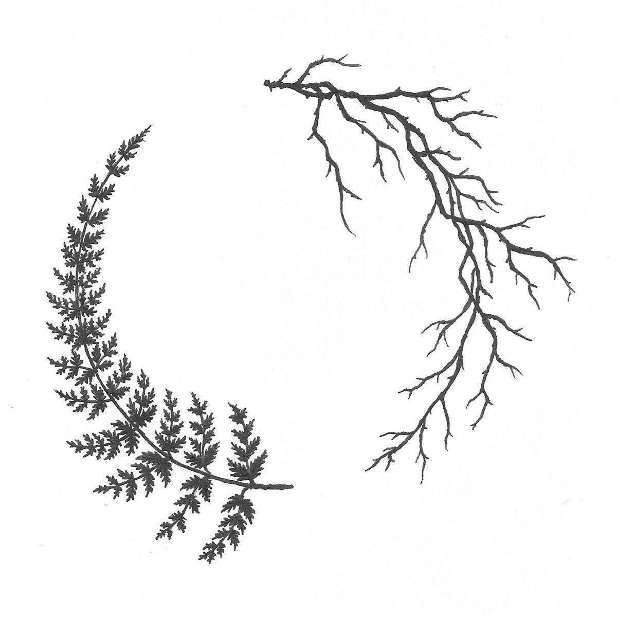 Submersion & Mon0 – Unison // Einklang