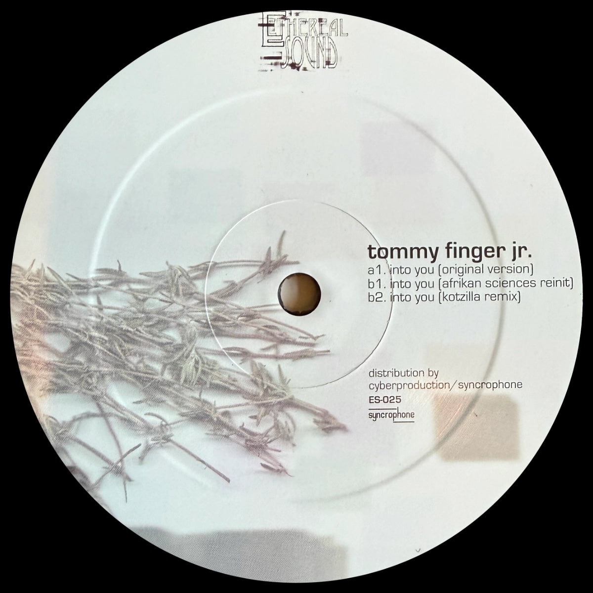 Tommy Finger Jr. – Into You