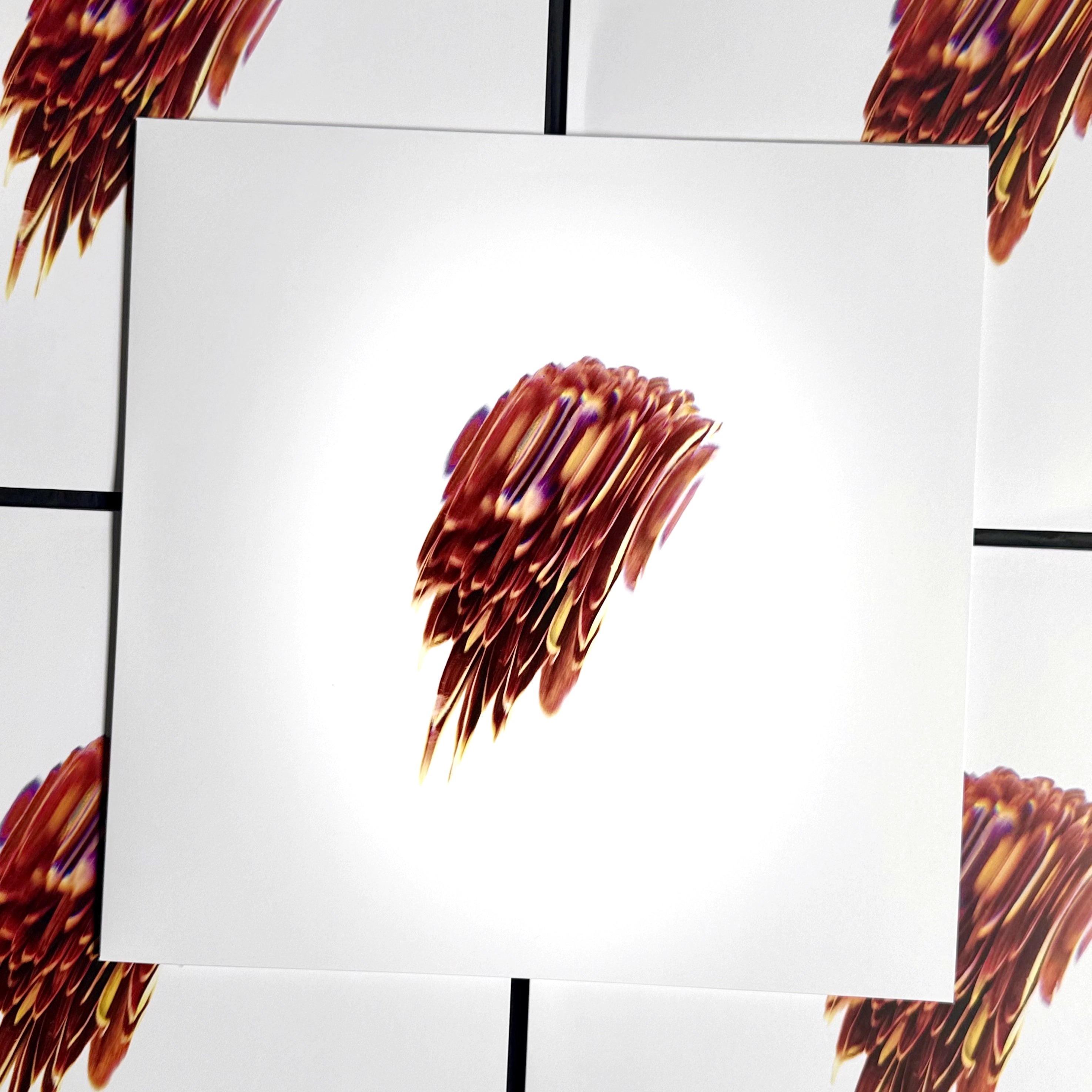 Topdown Dialectic False LP A