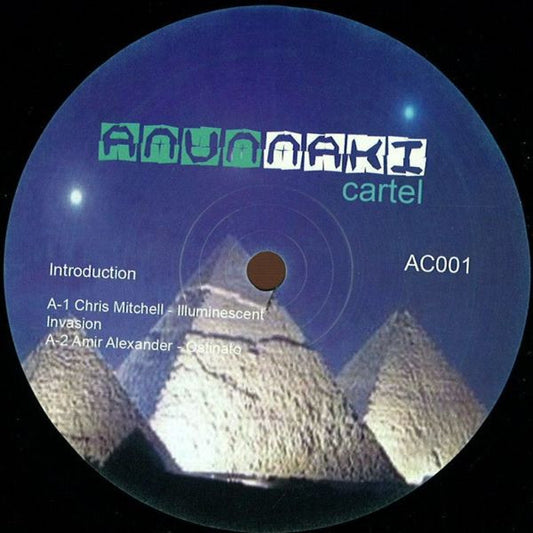 Various Artists - Introduction (Amir Alexander, Chris Mitchell, Joey Anderson)