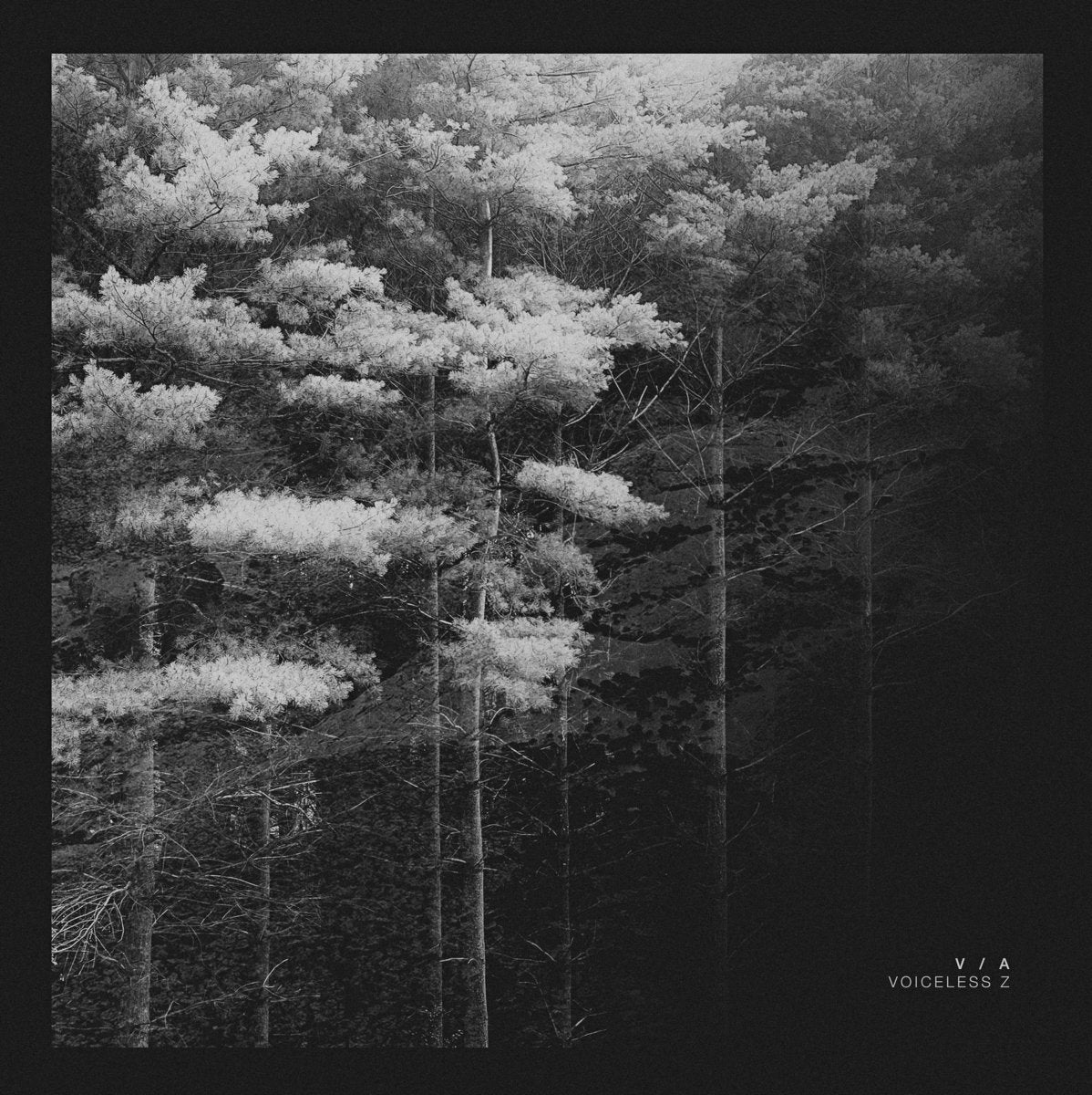 Various Artists - Voiceless Z (Helena Hauff, CCO, B12, Lowfish, ENDFEST)