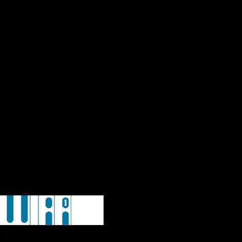 Various Artists – Wirr 1 (Flexi, Bendi, Adopo)