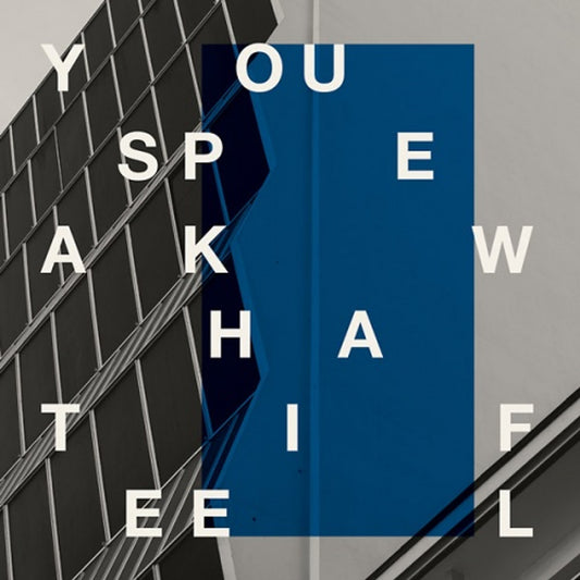You Speak What I Feel (DJ Sprinkles & SND) – My Good Friends Tell Me That