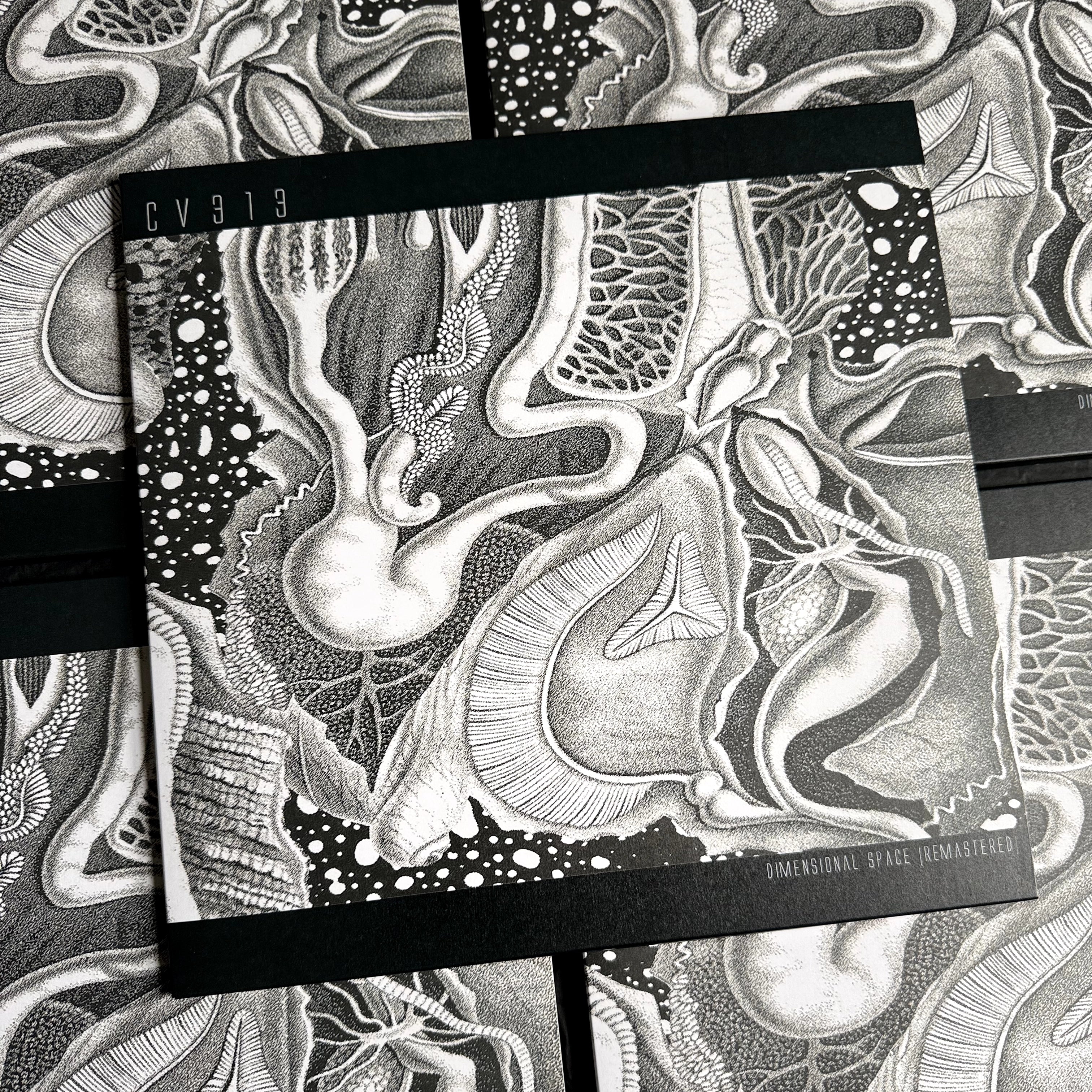 cv313 Dimensional Space